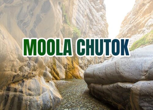 MOOLA CHOTAK